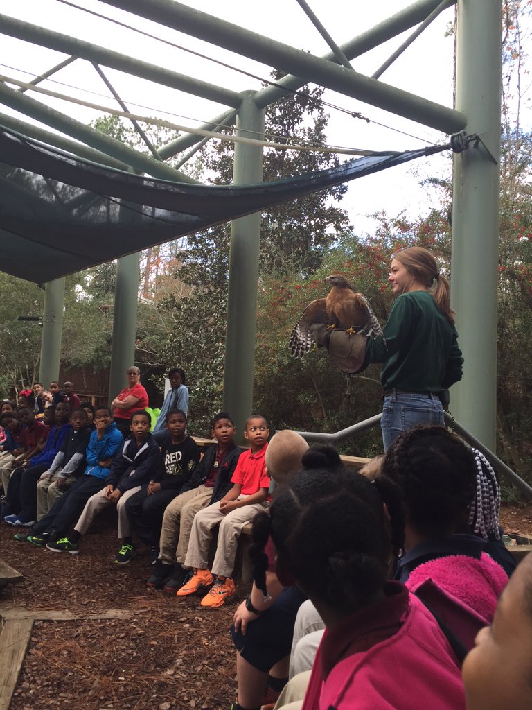 skcarrier_fle's tweet image. GSU habitat field trip all about habitats and adaptations. #superherointraing #handsonlearning