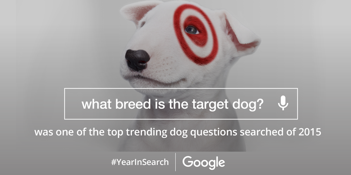 Target's tweet photo. Thanks for helping Bullseye make it onto @Google's #YearInSearch! Share a #TargetDog pic &amp; celebrate with us. https://t.co/4SiP3ddDB9