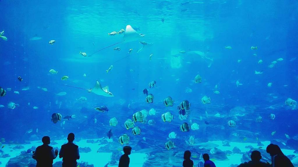 Phillip Winfrey tweet media