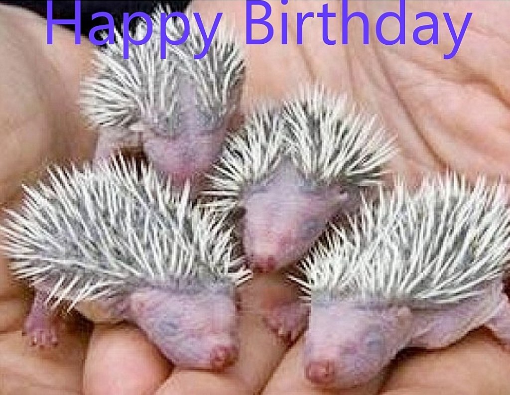 Happy Birthday to Elliot -Anna Popplewell-Rachel Bright -Theo James -Danielle O\Hara -Garnon Davis & Gareth Williams 