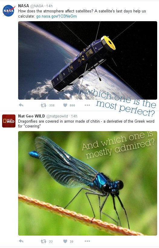 RitornaCristo's tweet photo. The INTELLIGENT DESIGN of CREATION mistery is finally explained by #Christ
https://t.co/GgwsMbWEEF @NASA @natgeowild https://t.co/3A1bQ1W1zU