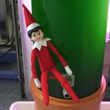 Discovery_EC's tweet photo. Noel has been up to mischief in #Algaecytes #DiscoveryElf #Christmas https://t.co/pL1SeeeBsL