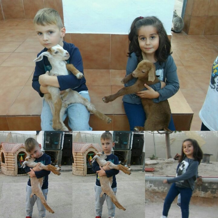 Mariani_Acosta's tweet photo. Mi mejor regalo!!!!! Mis nenes😄😄😄 
Os quiero tantoooo💖💖💖💖 https://t.co/yHXd2TZAJC