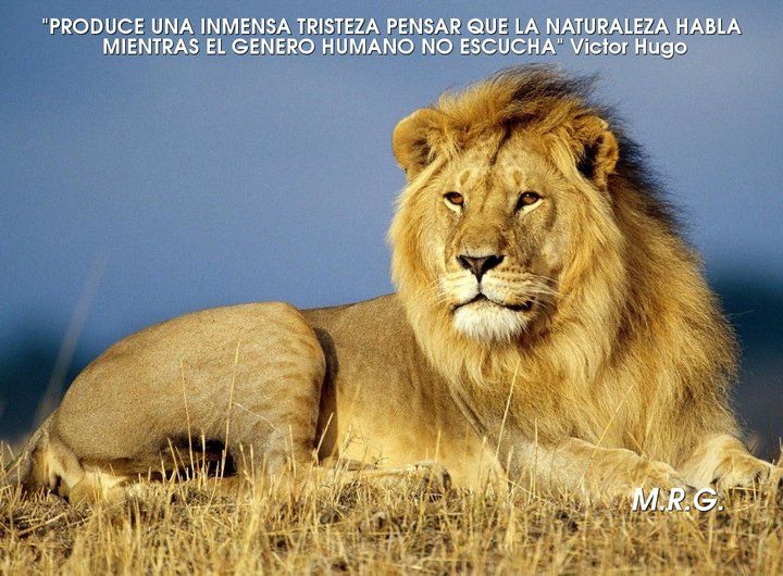 Ecogranjero's tweet photo. "Produce una inmensa tristeza pensar que la naturaleza habla mientas el género humano no escucha" - Victor Hugo https://t.co/jrDKDdgUxp