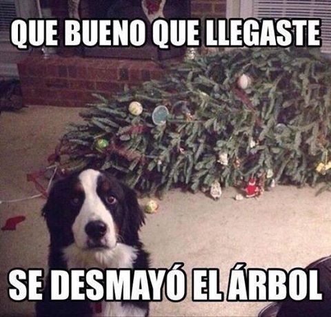 Mascotify (@mascotify) on Twitter photo 