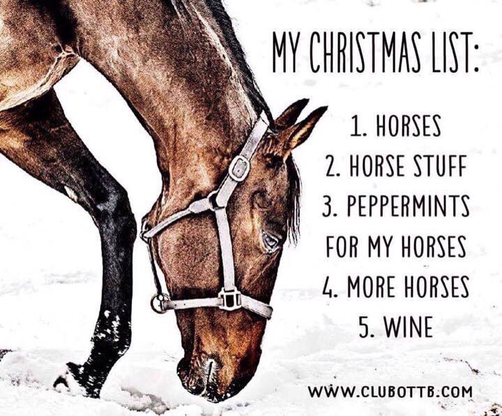 I think this list is pretty accurate for me haha. What about you guys? #horses #equine #Christmas #wishlist