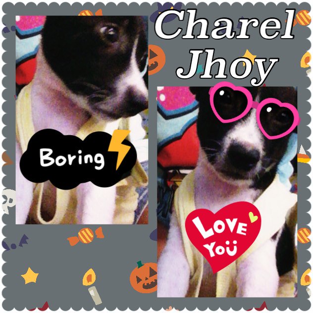 joy_charel's tweet photo. https://t.co/dTaYfw3lKU