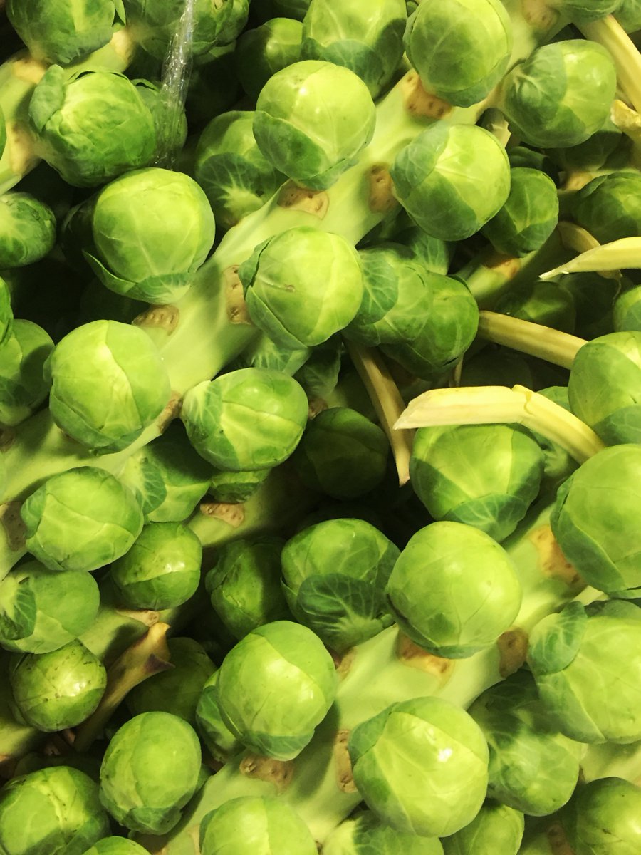 cranstons_1914's tweet photo. It's Christmas Eve! Have you got everything? Remembered the sprouts? #emergencysprouts #dinnerstaple https://t.co/Y8bEkmznLK