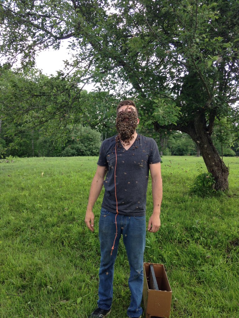 dancingbeeequip's tweet photo. Our bees are very gentle! #dancingbeeequipment https://t.co/Kaz2AEHFmK