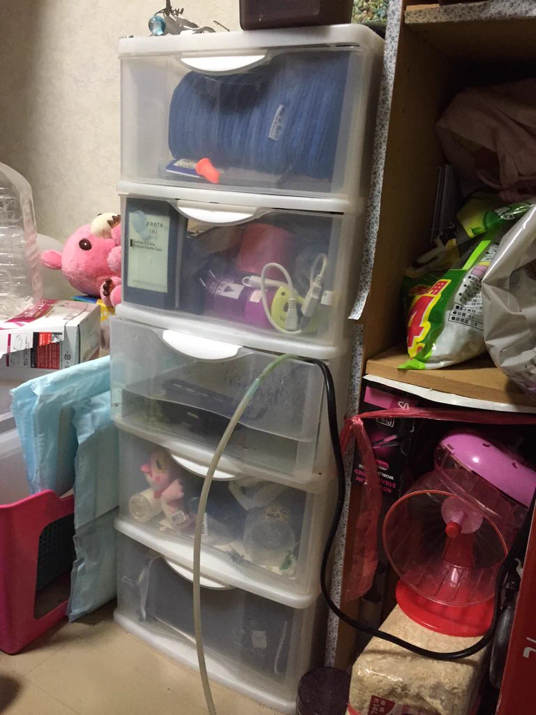 妹の部屋の引き出しの中に、何かが住みついているのだが...