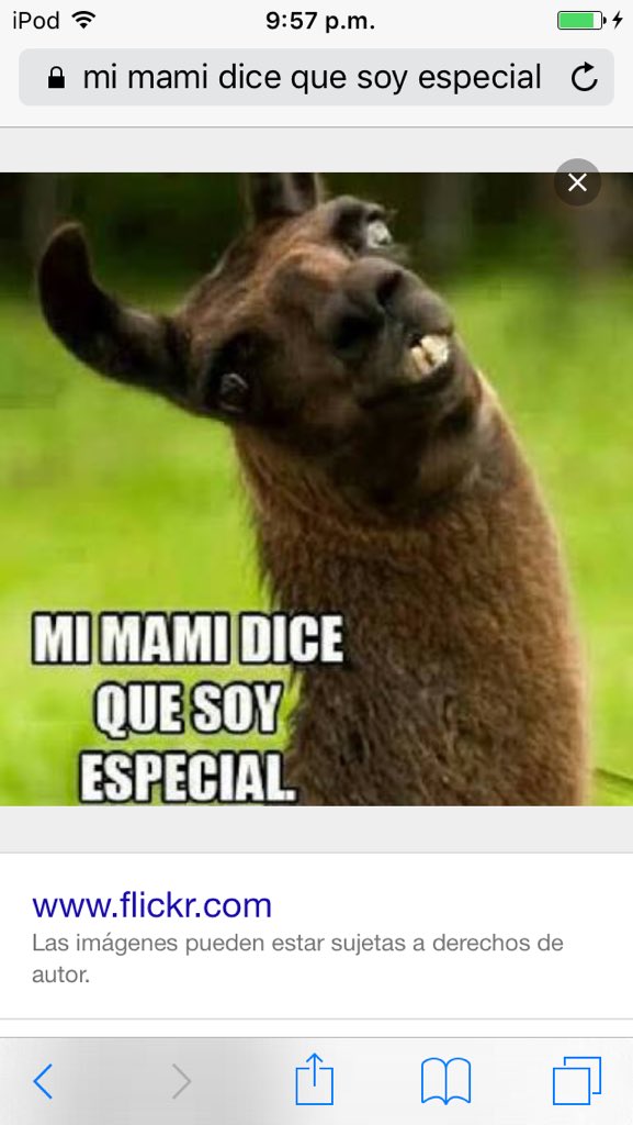 berpartida's tweet photo. Mi mami dice que soy especial ☺️ https://t.co/pb0si4aI4x