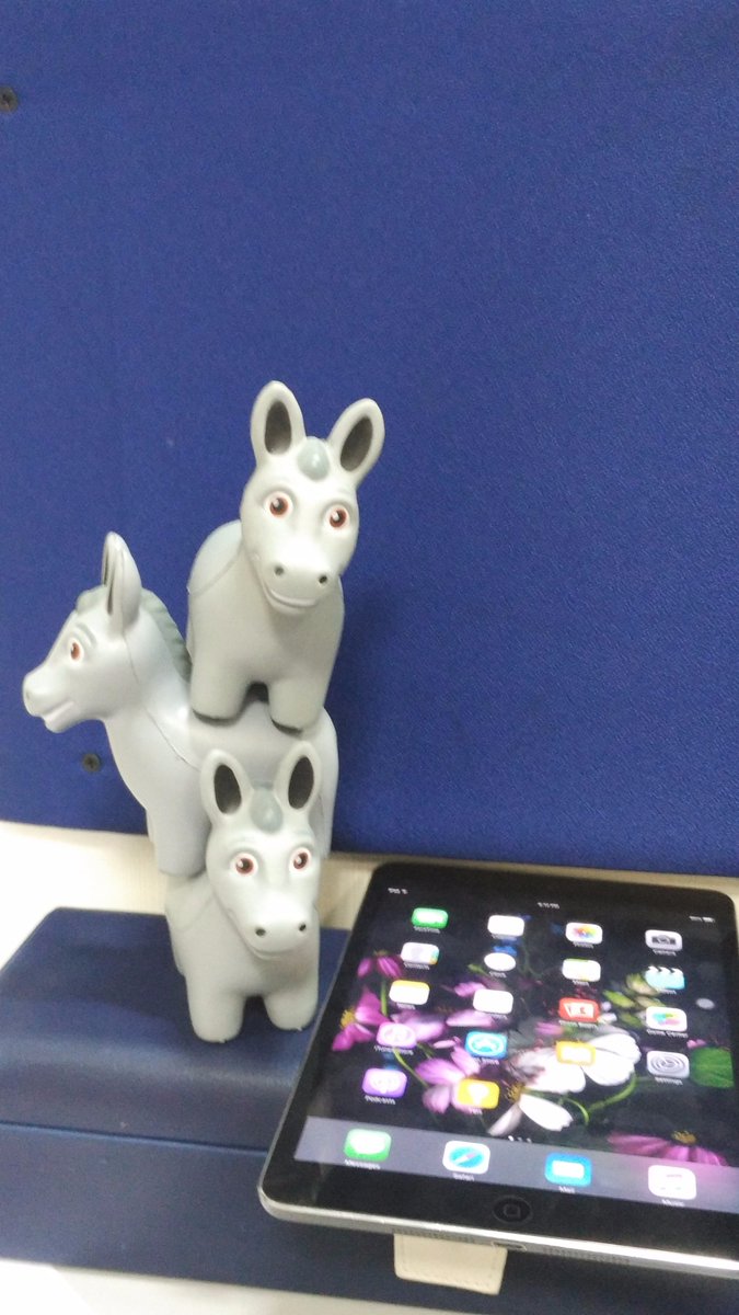 shnkgupta's tweet photo. @MuleSoft @MuleDev @MaxtheMule Got my Mule Squishies #MulesoftChampions #MaxTheSquishy :)) https://t.co/8OcOx9FBLL