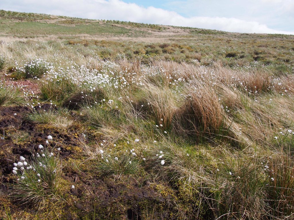 I hope that you are doing well
Take care of yourself

ฉันหวังว่าเธอคงสบายดี
ดูแลตัวเองดีๆนะ

-sageandbone-