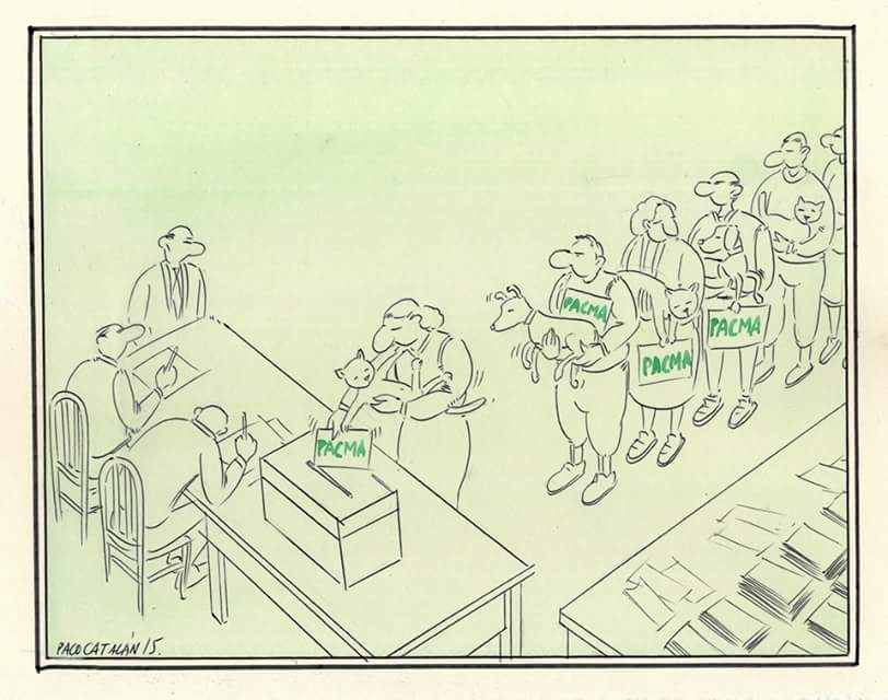 Viñeta de Paco Catalán @pacoayora #20D #ASúaVozOTeuVoto