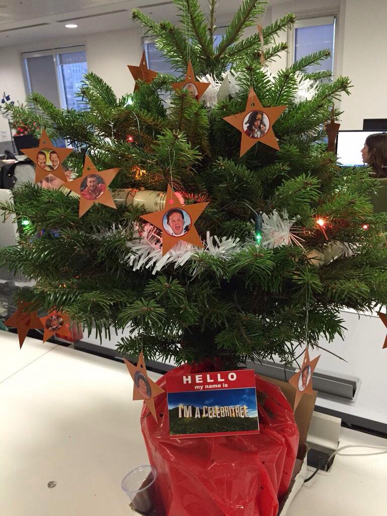 RyanAHodges's tweet photo. #ImACelebritree @ThePoke #DisappointingOfficeDecorations https://t.co/dIkmISi3xy