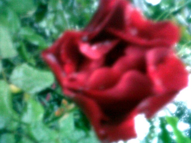 StnadMat tweet picture