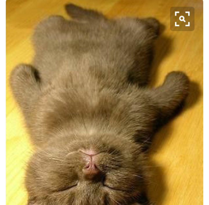 ReedusFan2's tweet photo. Good night so exhausted #lifeofathirdshifter @NegansPrincess @BilariaG @tera_hoppens @sissy_sisk @wwwbigbaldhead https://t.co/zc07nszODJ