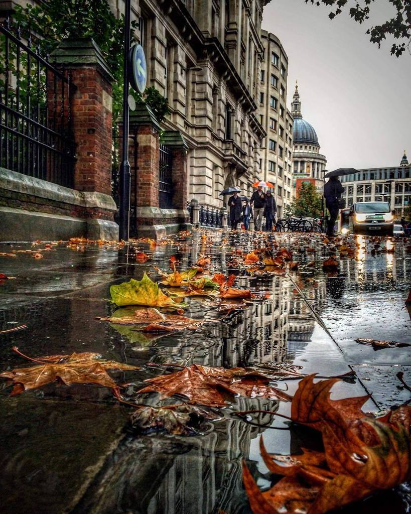 route_rocks's tweet photo. A rainy day revealing another side to  London's beauty. Thanks to @sabear for braving the damp. 
#thisislondon 
#ra… https://t.co/IVcvNzGTMo