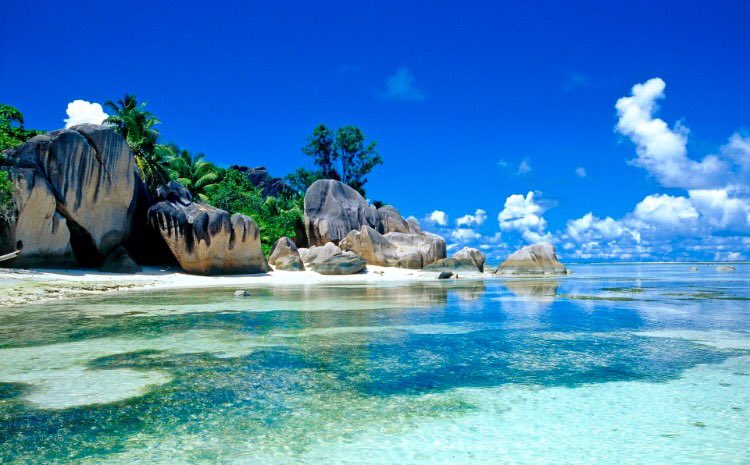 WoooTrip's tweet photo. #CheapestSunnyBeach destinations for travelling in December. #SriLanka #travel #tourism #beach #cheapdestination https://t.co/2PXWJrdDne