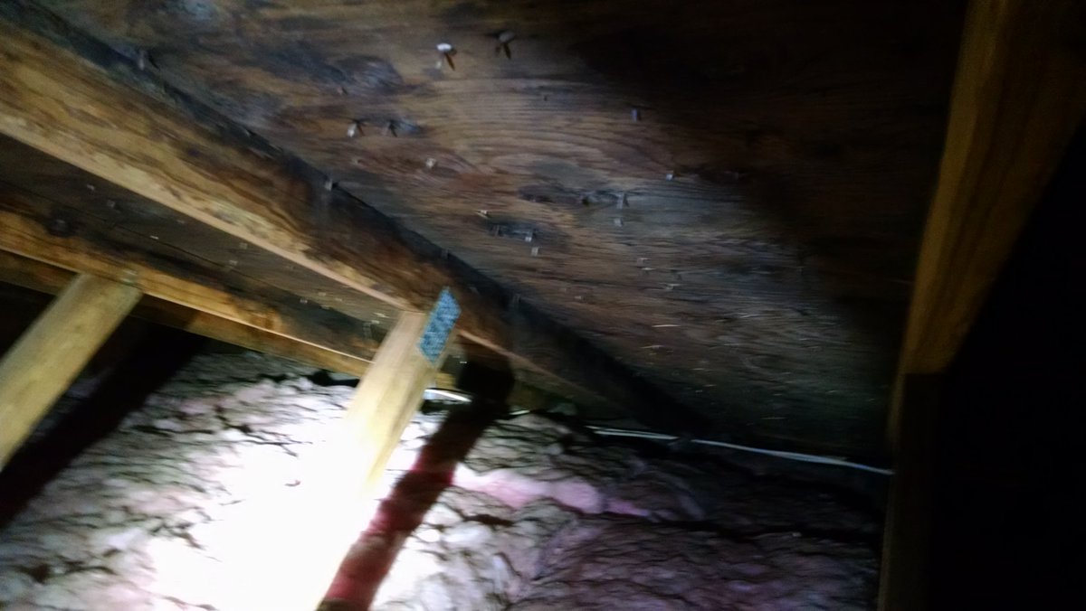 TerraHomeInsp's tweet photo. Some suspect possible #mold present in #attic #spore #roof #ventilation https://t.co/HtXTXMpTc5 #NJ #airsample https://t.co/XSOUf4B5sf