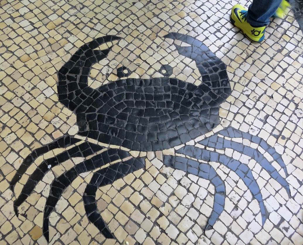 trailstained's tweet photo. Today, I begin my #StreetsofMacau series. Everyday, I'll post a different Chinese mosaic. #Macau
#Photo 1: The crab https://t.co/Oob0BRfUd6