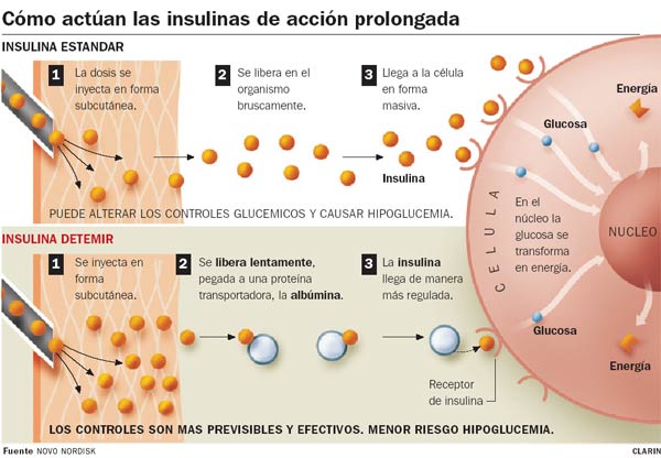 intercambiar alto Prefacio Diabetes.doc 🌐 on Twitter: "Cómo actúan las #insulina de acción prolongada. https://t.co/pmlirnWjkn" / Twitter intercambiar alto Prefacio Diabetes.doc 🌐 on Twitter: "Cómo actúan las #insulina de acción prolongada. https://t.co/pmlirnWjkn" / Twitter