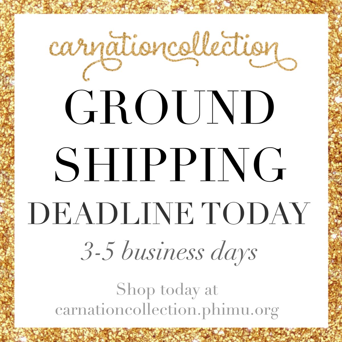 PhiMuCarnColl's tweet photo. Last call for ground shipping to receive your items by Christmas! >>> order now! #carnationcollection #phimu https://t.co/Za2sthMeOr