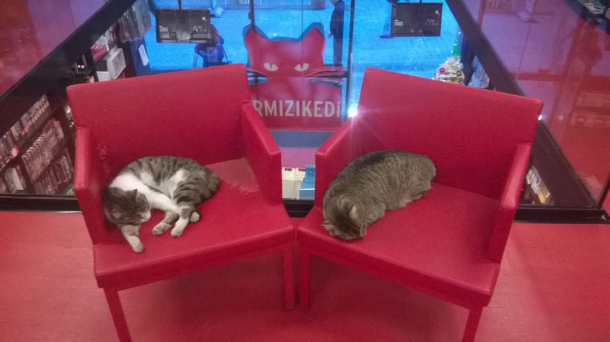 Kirmizi Kedi Magazalari Kirmizikedi Com