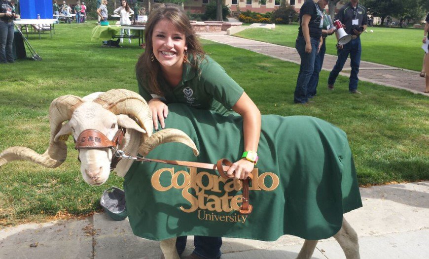 CSU College of Agricultural Sciences (@csuagsci) on Twitter photo Meet <a href="/csuansci/">CSU Animal Sciences</a> major Carissa Brandt, one of our outstanding fall graduates! #RamGrad col.st/iGGtn Meet <a href="/csuansci/">CSU Animal Sciences</a> major Carissa Brandt, one of our outstanding fall graduates! #RamGrad col.st/iGGtn
