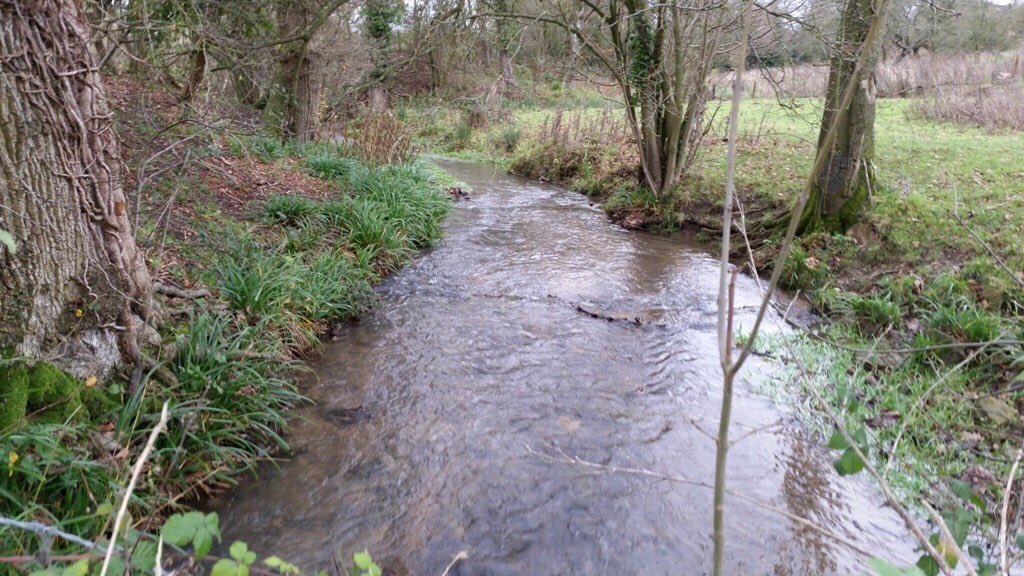 IanJonesEA's tweet photo. Luke had the pleasure of sampling the #Isbourne nr #Winchcombe today. Results looked good & will inform envtl qlty https://t.co/axrOLy9qtD
