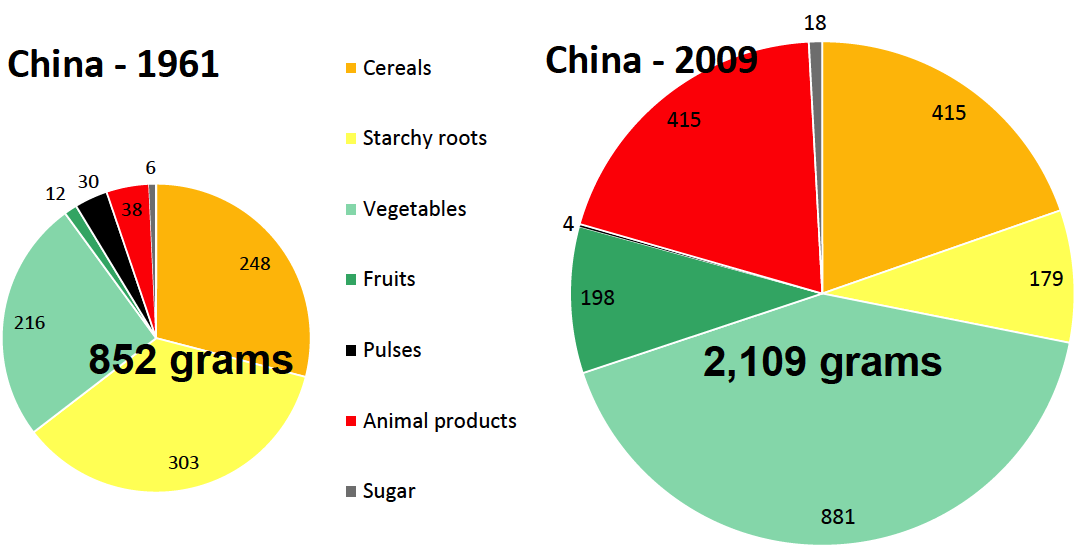 SiChinaFood's tweet photo. #Dietary transition of #Chinese from 1961 to 2009, from ODI report Future Diets https://t.co/EIoyQGe26v https://t.co/qJ4BKuLaY0