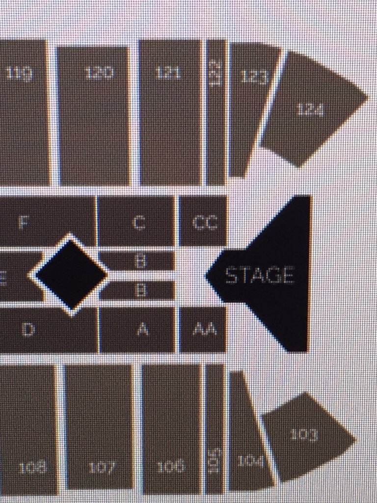 tmacias2014's tweet photo. HELLO FROM THE FRONT ROWWWW!! @Adele I will be seeing you on Nov 9th!! #sectionCC #row1 https://t.co/vbJF9YfIHW
