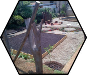 What is the best food, Home grown organic, What are the best products, Made from these foods #garden2table #Organic