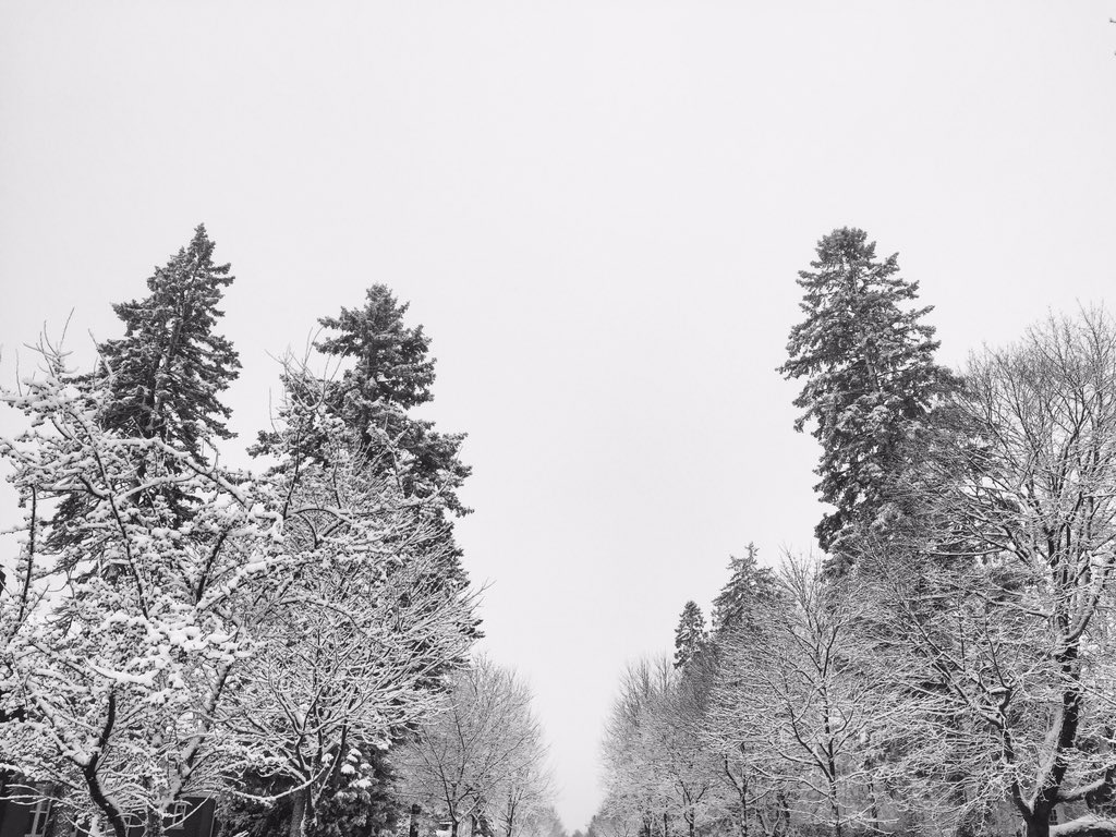 duluthloves's tweet photo. The life inside a snow globe 🙌🏼❄️ #Duluth #snow https://t.co/804CzE0SEJ