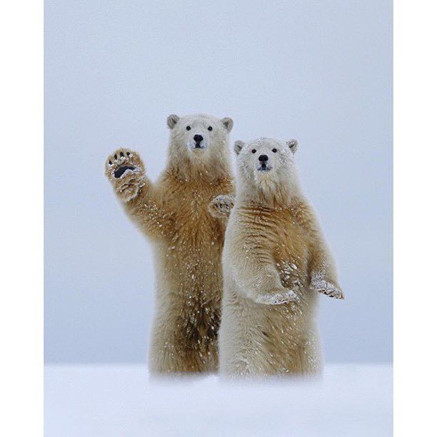 IntoOutdoors's tweet photo. Hello 👋 | Photography by ©Laura Keene https://t.co/9SZEJNyUZm