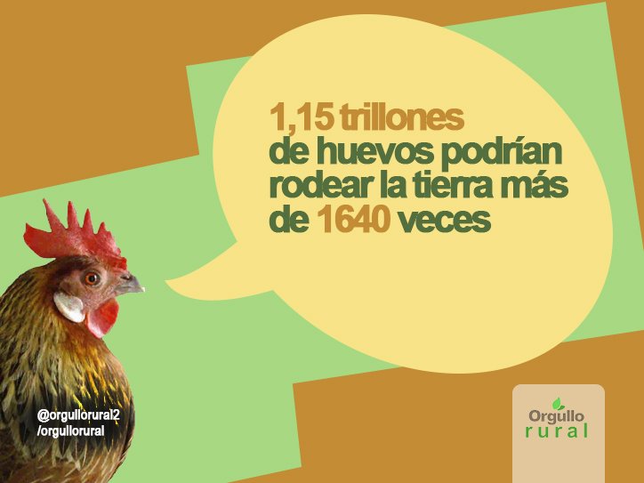 orgullorural2's tweet photo. Huevosss #orgullorural #curiosidades #sabiasque #agrodatos https://t.co/A0NepFSXzd