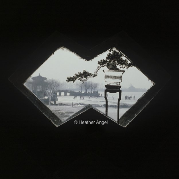 angelantics's tweet photo. Double glazed window + bonsai painting beside frozen Kunming Lake, Summer Palace, Beijing #China #Frametheview https://t.co/YOBmHXFY7Z