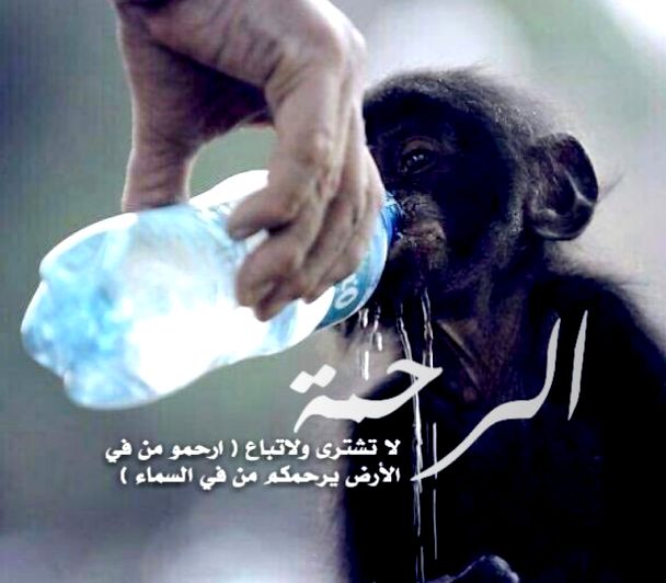 dr_saaleh's tweet photo. https://t.co/rrqZWTR2rC