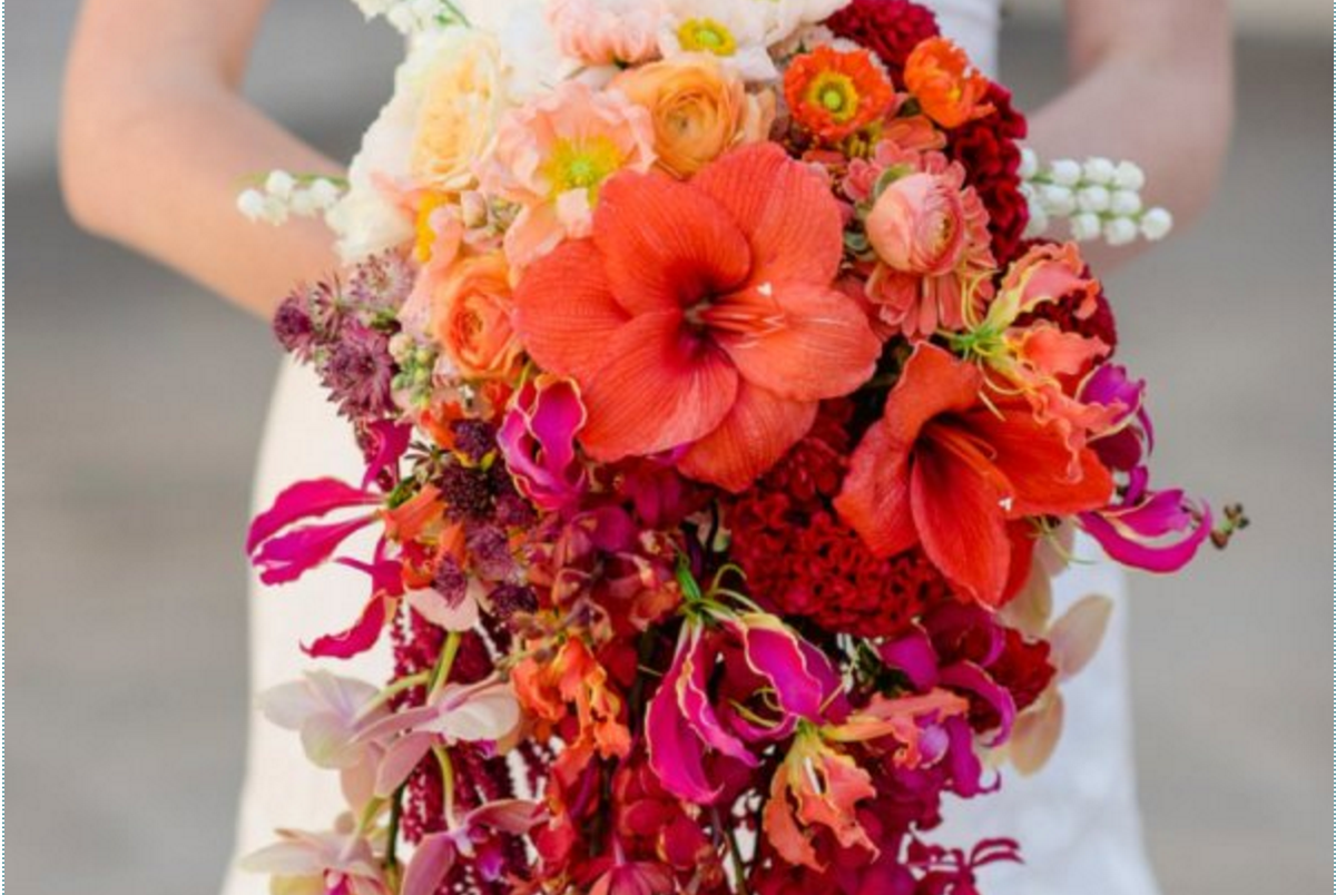 stylemepretty's tweet photo. *Jaw-drop* Have you ever seen anything prettier than this ombre bouquet?! https://t.co/t8LXtmu98A @sarahmarenphoto https://t.co/Y4Fx7hJYLb