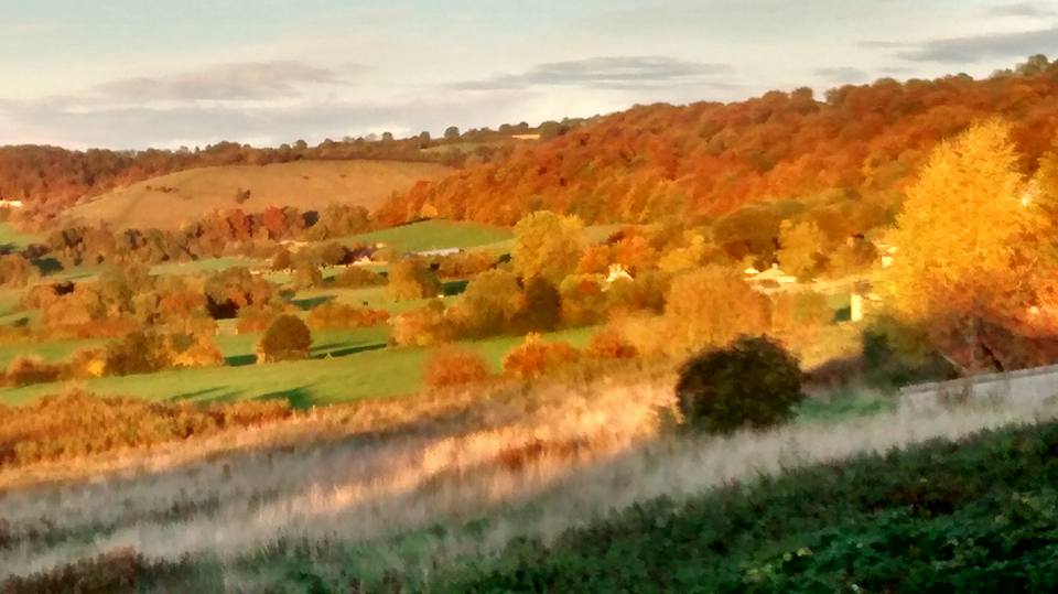 sladvalley's tweet photo. My objection to Gladman building in Slad Valley just finished. Have you submitted yours yet? https://t.co/okRj5PZ0ng https://t.co/haljv9hnuD