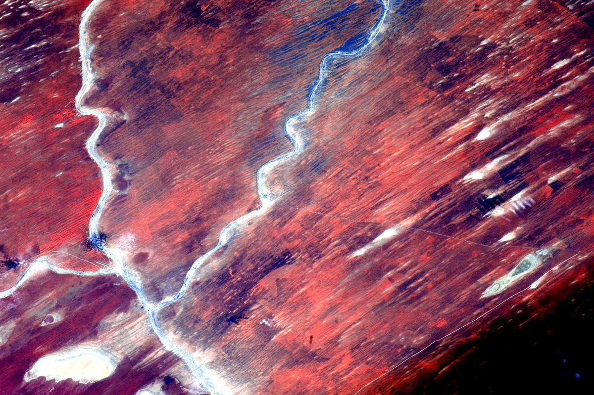 StationCDRKelly's tweet image. #Africa desert #EarthArt. Some of the most inhabitable places on Earth are also the most beautiful. #YearInSpace