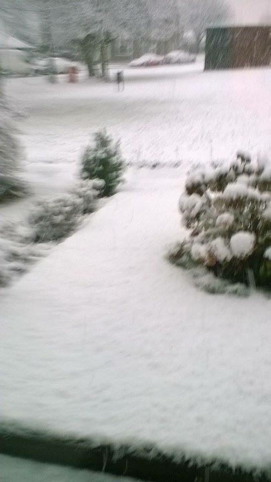 88_mcdonald's tweet photo. @GaryBarlow everyone's excited for your surprise visit fingers crossed. Look at the snow #cornishgeordiewedding https://t.co/ZRNQzn839z