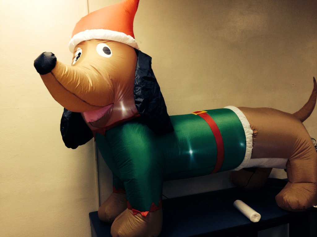 WillardAltHS's tweet photo. Weiner dog elf sending holiday cheer to staff and students @WillardAltHS #Flagship https://t.co/X2QXwOyqmz