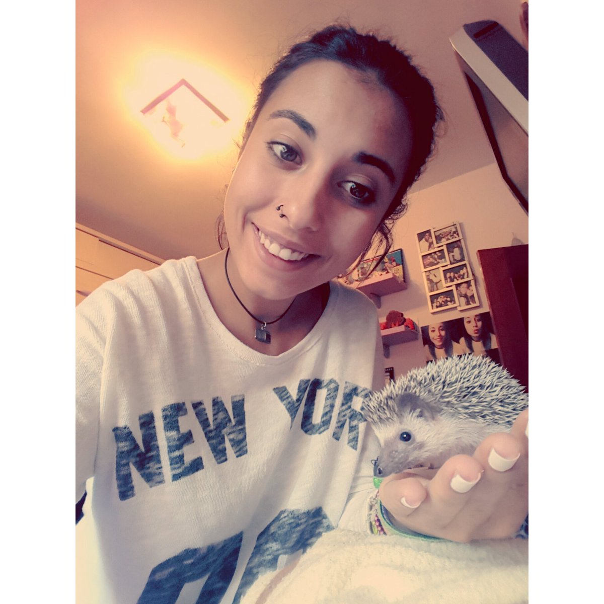 LidiaAlbarrn's tweet photo. Mi bichin , nuevo miembro de la famili 😘 regalito de mi niño @jorgiitoEstevez 💞💞 https://t.co/Gg7iwdadIR