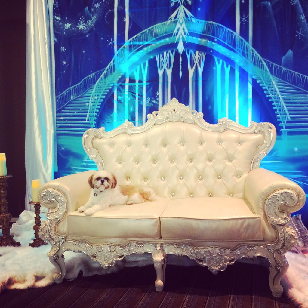 regalkirby's tweet photo. Finally the royal treatment I deserve! https://t.co/5bqtf7bEI6