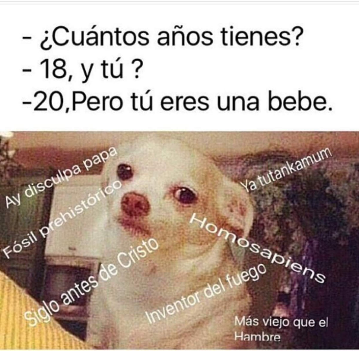 JeanPaulGS2401's tweet photo. Dejaré esto por aquí y me iré de puntitas muy silenciosamente. https://t.co/x4eWVcDwaX