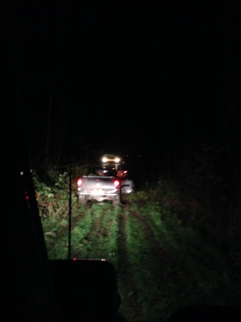 RitchieElliot's tweet photo. Boy will be boys#lads lads lads @94Tommo @bigtimefarmer1 https://t.co/71N5QpCoXJ