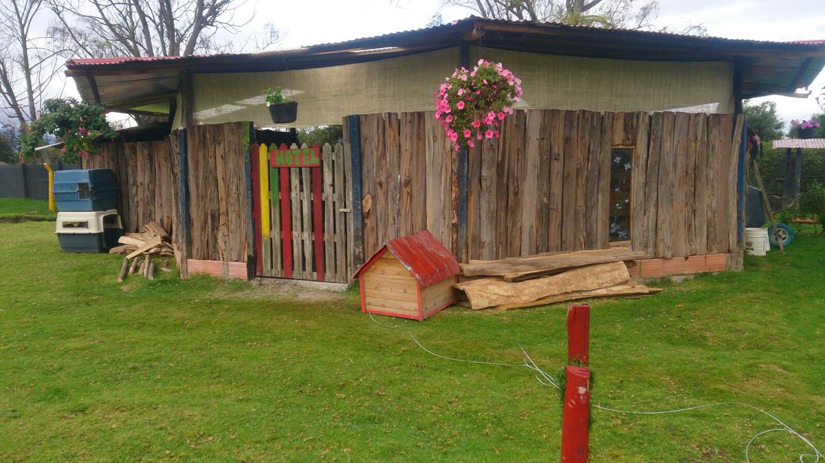Ranchokan's tweet photo. Hotel adaptado para que tu #mascota se encuentre libre de jaulas y guacales y este cómodo. https://t.co/INuiQW4V0V https://t.co/ipXBkLZkHM