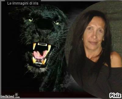 lamitica77's tweet photo. BUON ASCOLTO SU: https://t.co/4TDwig3Qj9 PANTERANERA VI ASPETTA https://t.co/sJKpjcMwFY