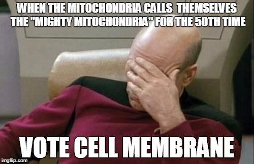 checkachoo's tweet photo. Like forreal!! 
Vote #insanecellmembrane in the #organellecampaignbitburgmhs
At least we have better slogans https://t.co/zn68ra4VDj